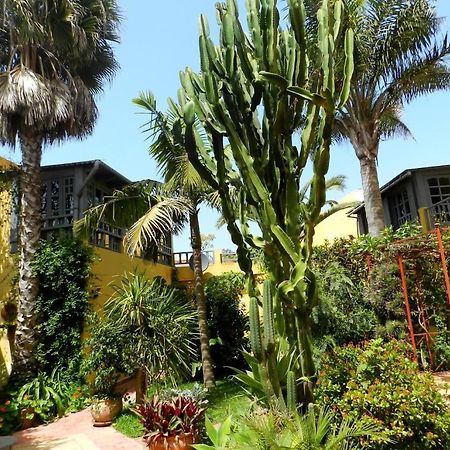Dar Beldi Bed & Breakfast Oualidia Luaran gambar