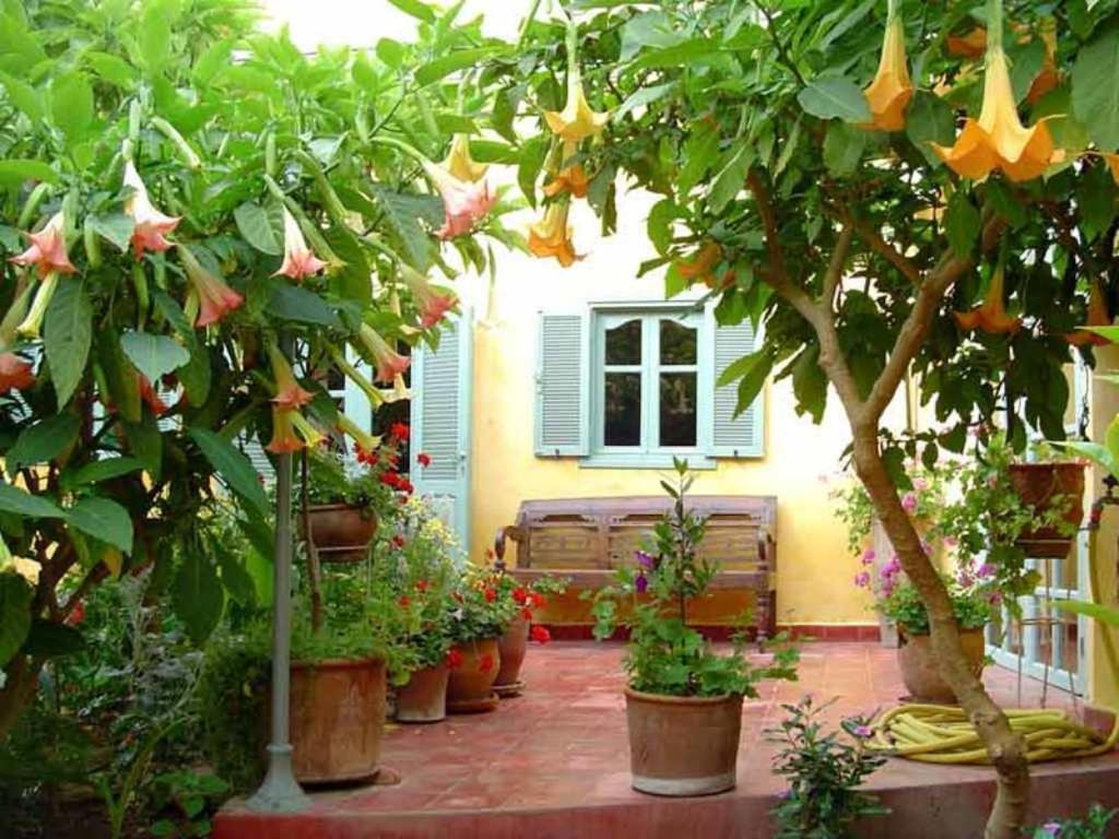 Dar Beldi Bed & Breakfast Oualidia Luaran gambar