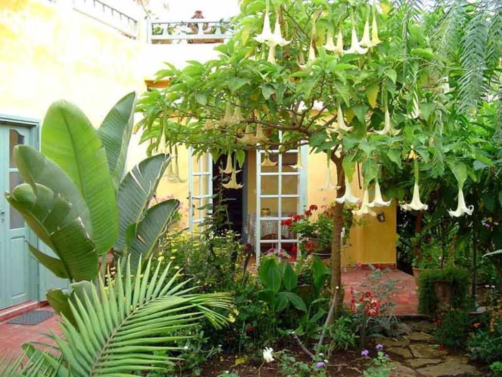 Dar Beldi Bed & Breakfast Oualidia Luaran gambar