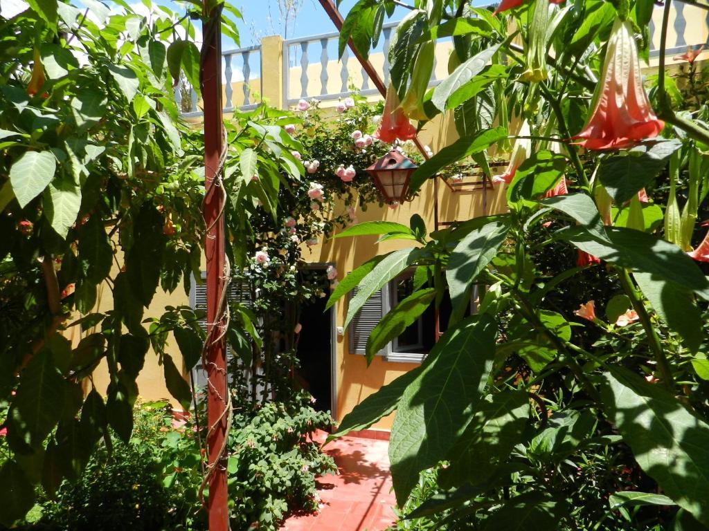 Dar Beldi Bed & Breakfast Oualidia Bilik gambar