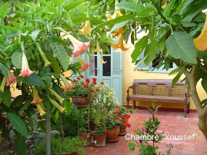 Dar Beldi Bed & Breakfast Oualidia Bilik gambar
